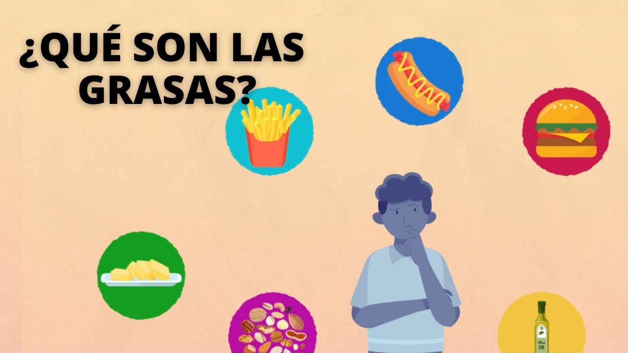 ¿Qué son las grasas?