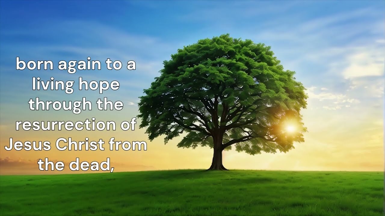 1 Peter 1:3 ESV Scripture Song
