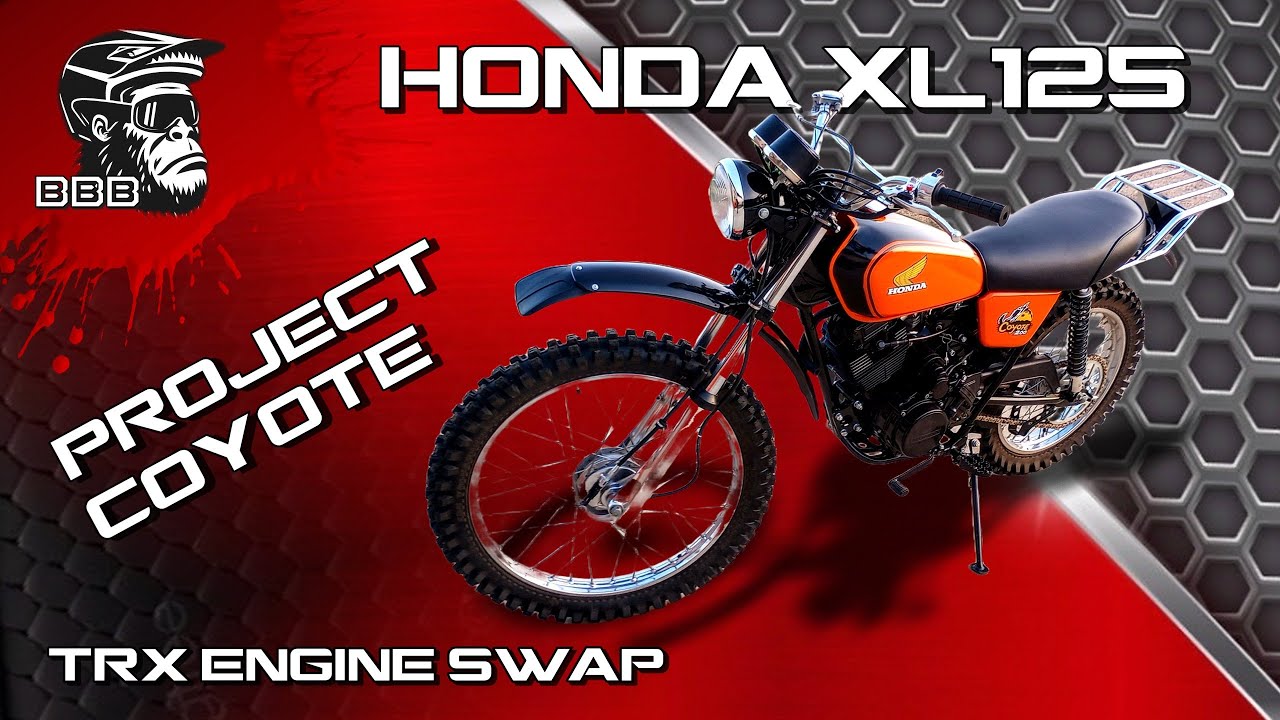 Vintage Honda XL Engine Swap and Restoration - ULTIMATE TRAIL BIKE! #dirtbike #atv #honda #bbandb