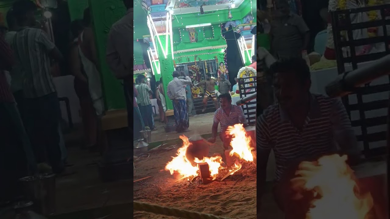 நயினாபுதூர்.. சிவ சுடலை மாடசாமி திருக்கோவில் கொடை விழா -2026 , கன்னியாகுமரி மாவட்டம்...