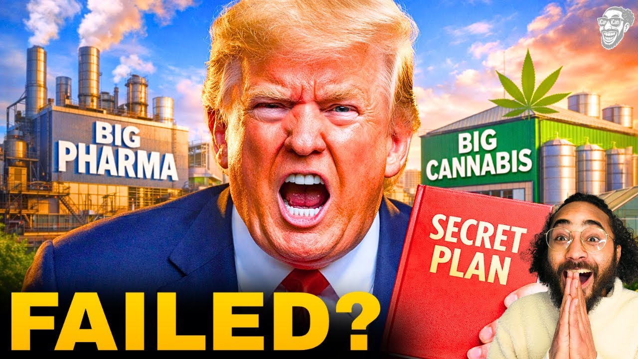 TRUMP FAILED to Re-Classify WEED Yesterday?! What Happens NEXT Will Shock You! 😳😱