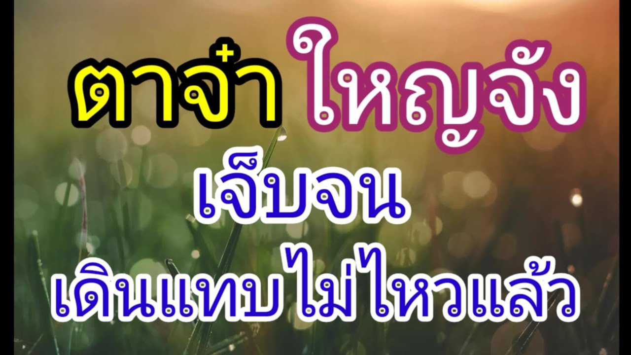 เรื่อง ตาจ๋ากับหลานสาวขี่อ้อน