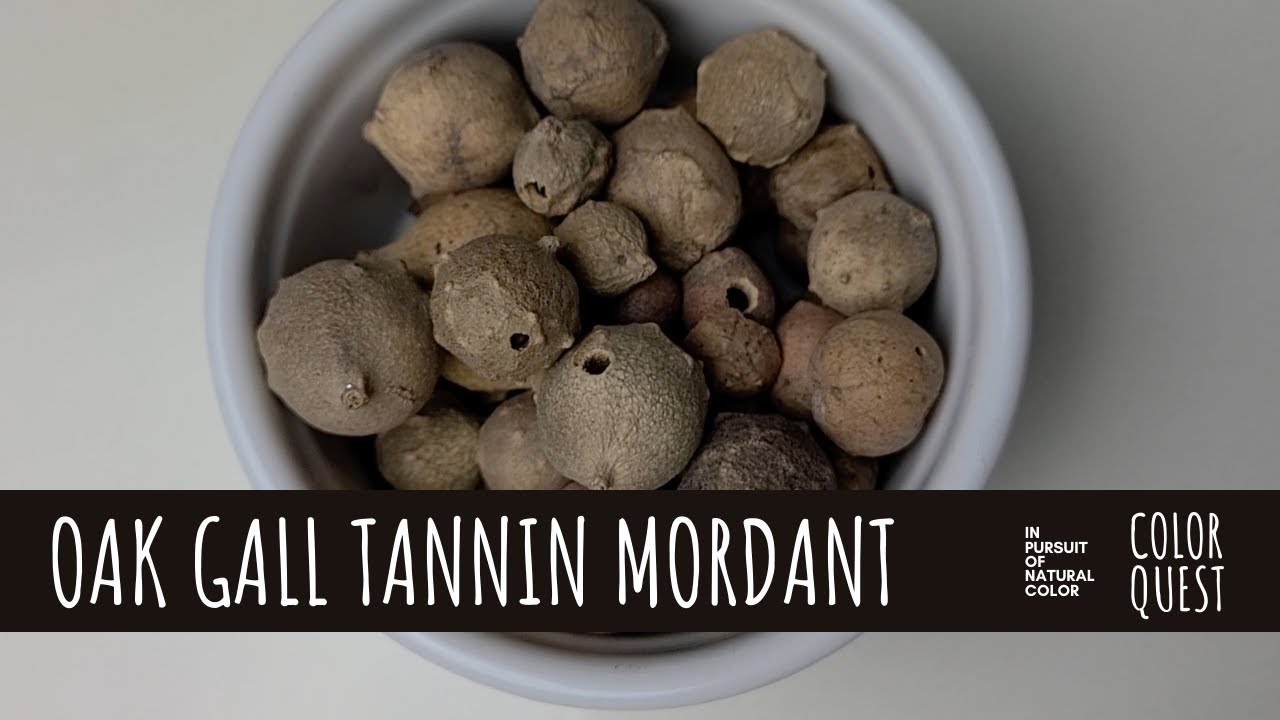 HOW TO USE OAK GALL AS A TANNIN MORDANT | NATURAL DYE | ORGANIC COLOR | BEIGE TAN GRAY | IRON WATER