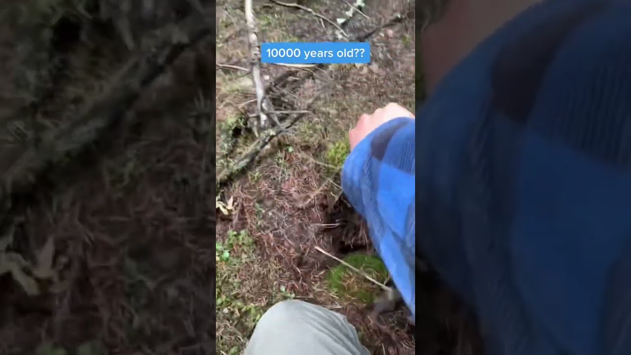 ❌looking for mammoth 🦣 tusk I find this!!