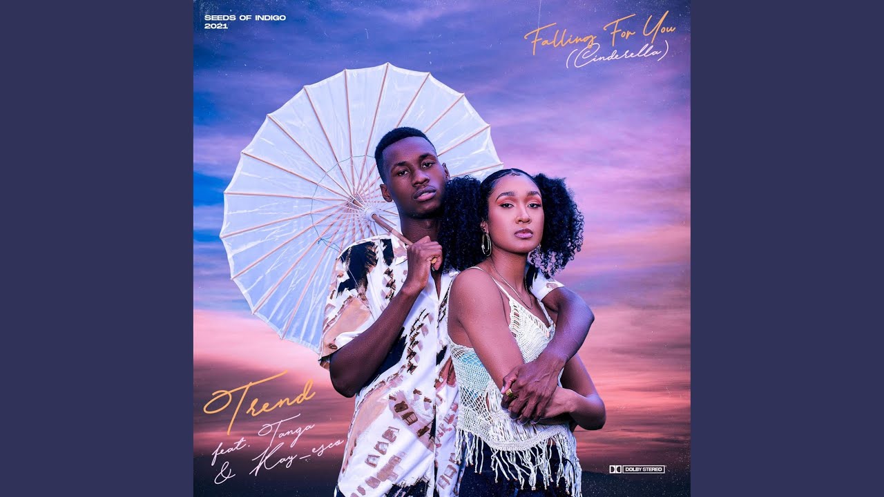 Falling For You (feat. Tunga Afrique & Kay_esco) (Cinderella)