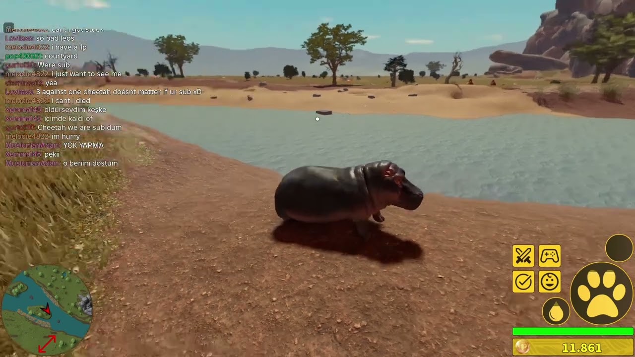 حياة فرس النهر جلد التماسيح 🐊🦛 ماب سافانا لايف