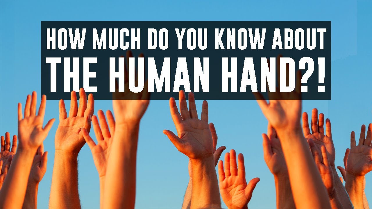 The human hand: Amazing facts!
