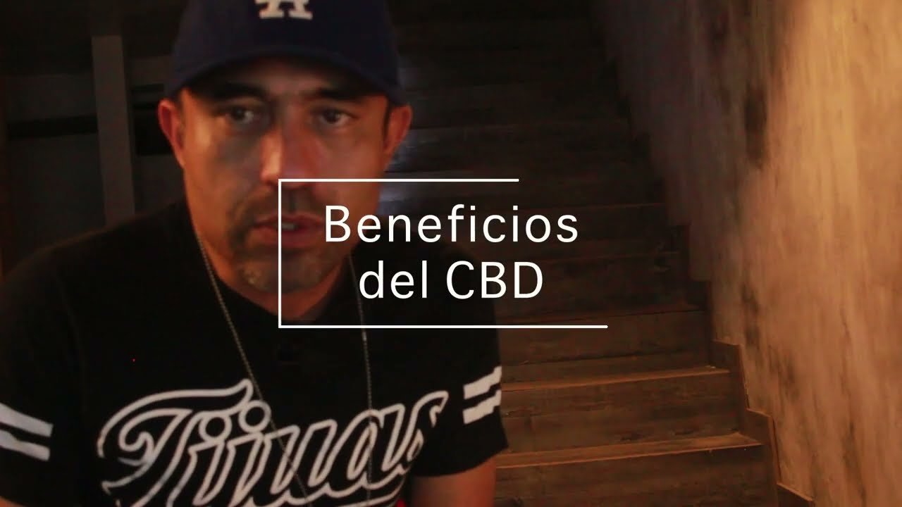 Descubre los increíbles beneficios del CBD full spectrum de Organic Hemp Mexico
