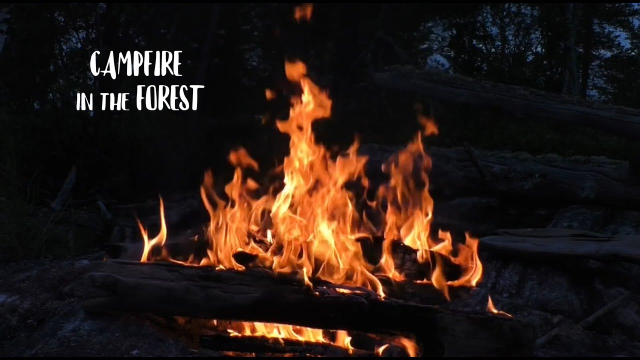 1 Hour Campfire by the River