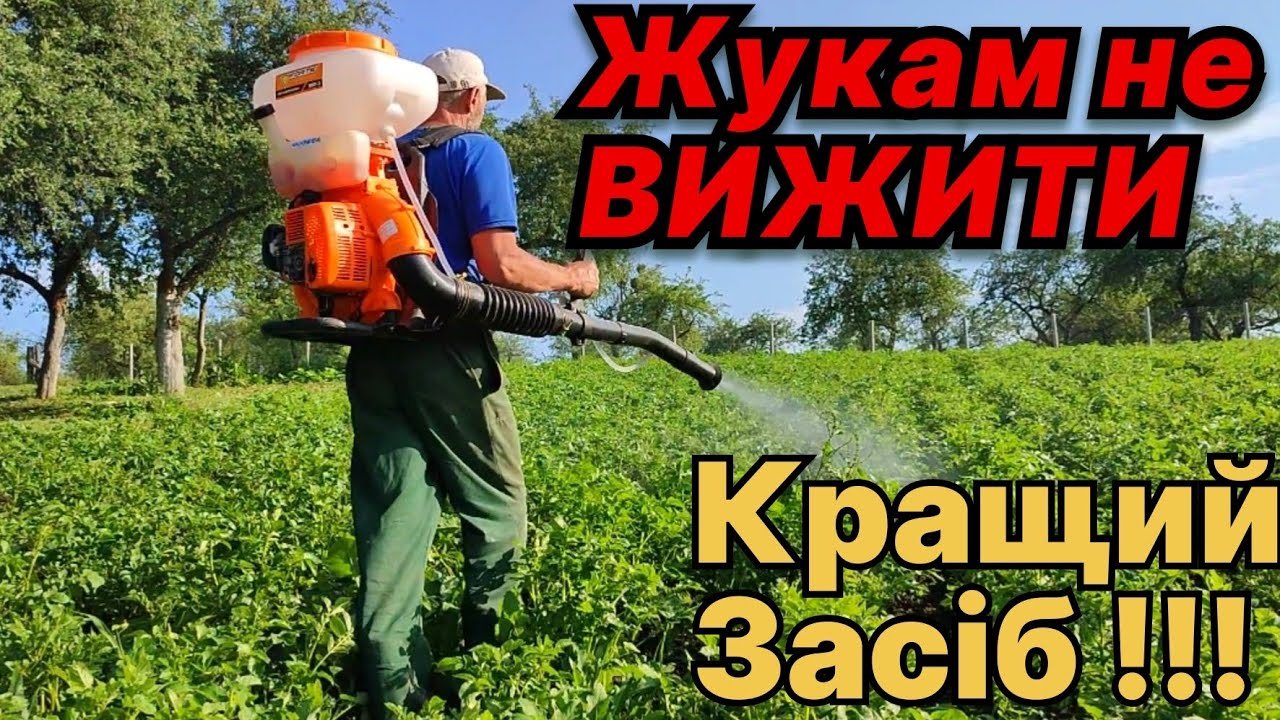 Кращий засіб від Колорадського жука!!! Мотооприскувач в поміч.