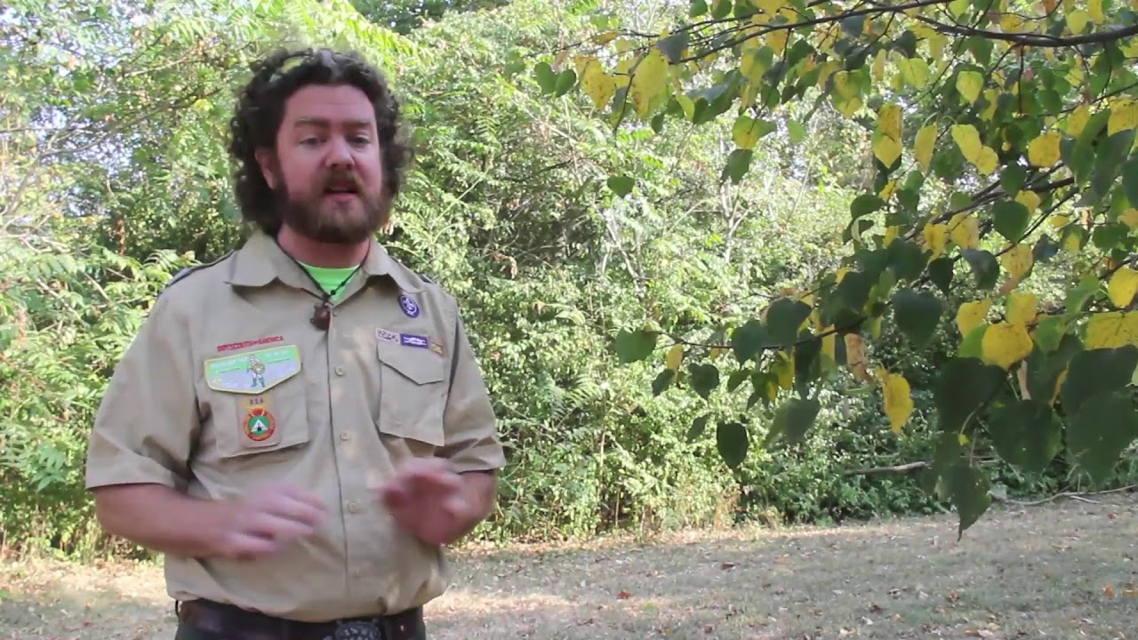 Dan Beard Council, BSA - Camp Branding Reveal - Cub World Adventure Camp