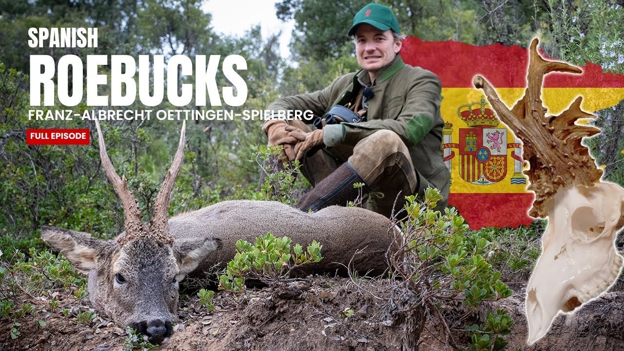 Stalking the Monster: Strategies for Spanish Roebucks