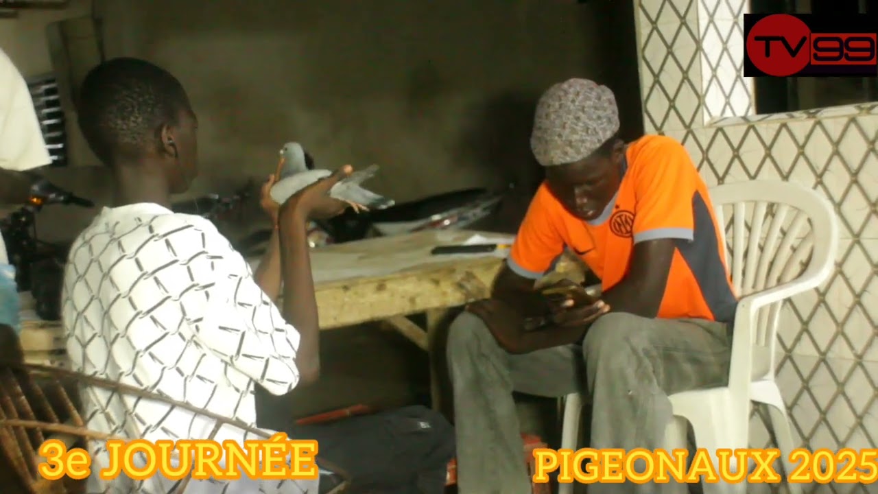 TV99 3e JOURNÉE CHAMPIONNAT PIGEONAUX 2025 ( ASCOLK )