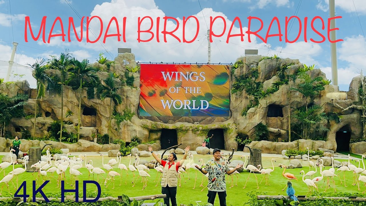 [4K HD] MANDAI BIRD PARADISE || WINGS OF THE WORLD || FULL SHOW || SINGAPORE NEW BIRD PARK ||