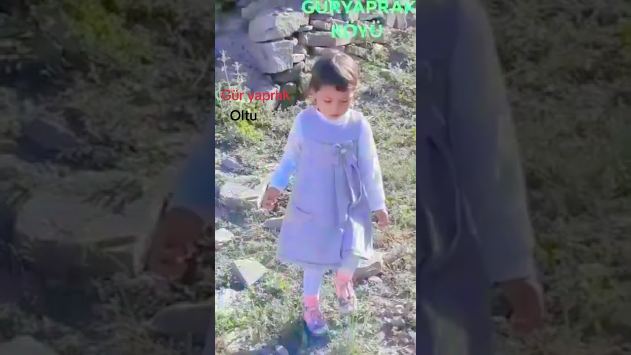 Erzurum Oltu Gür yaprak