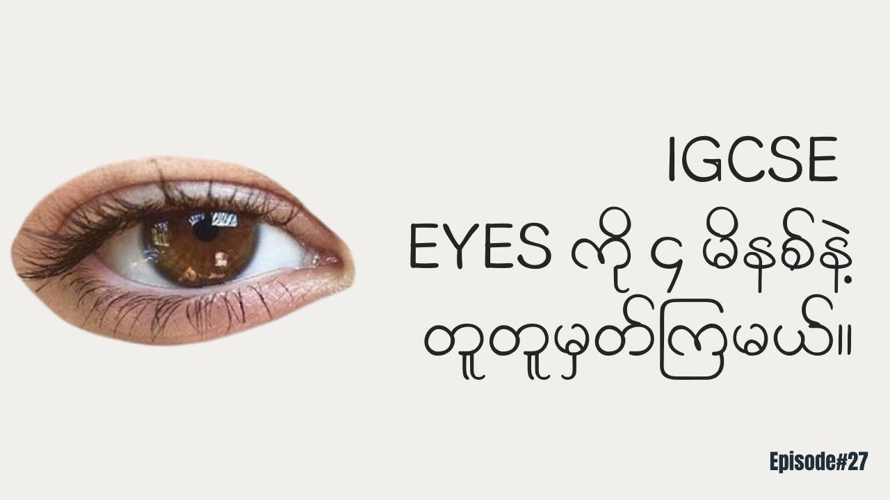 Eye က ဘယ်လို အလုပ်လုပ်တာလဲ? 