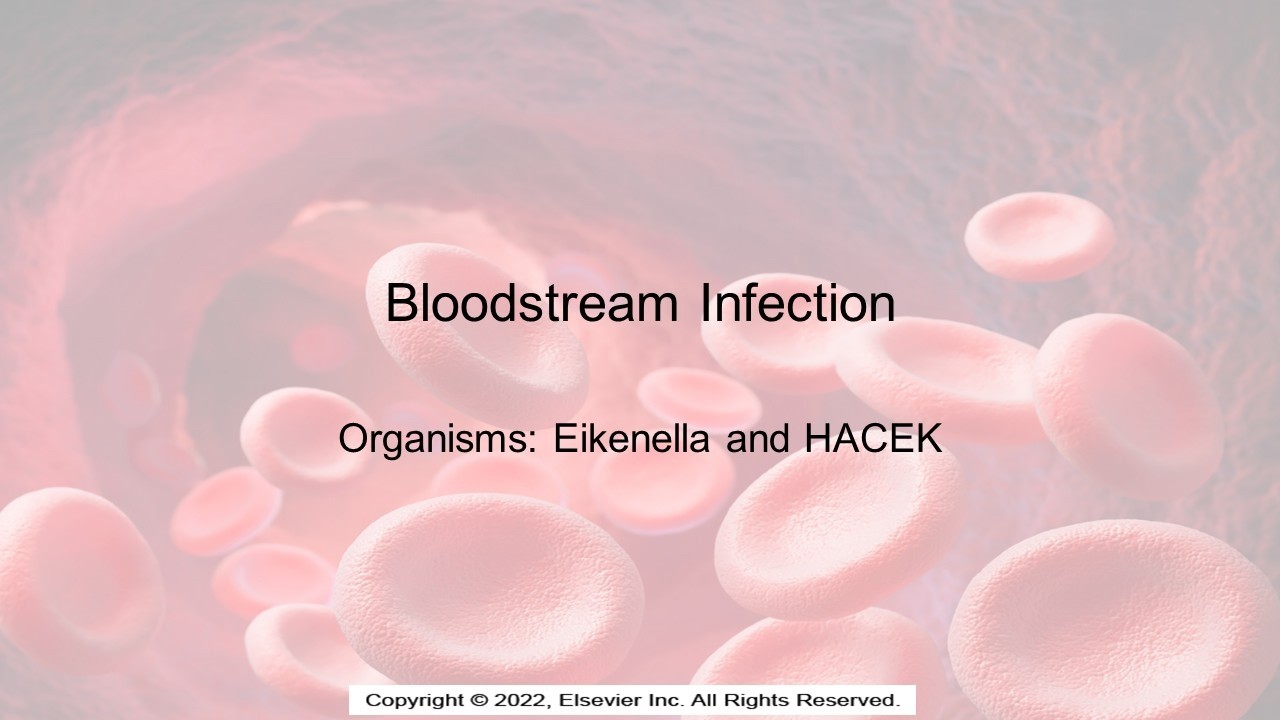 Bloodstream Infections: Eikenella and AACEK