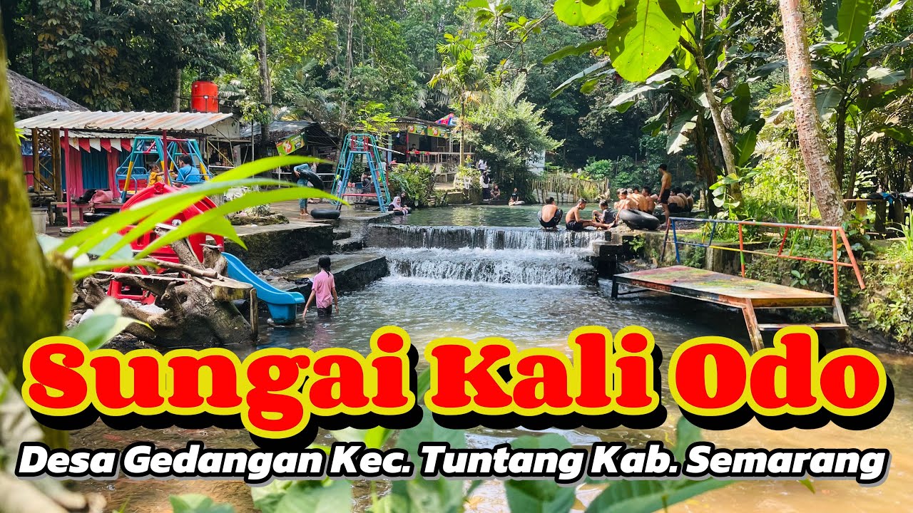 Sungai Kali Odo - Gedangan Kec. Tuntang Kab. Semarang #kaliodo #kaliodotuntang #youtuberngaliyan 
