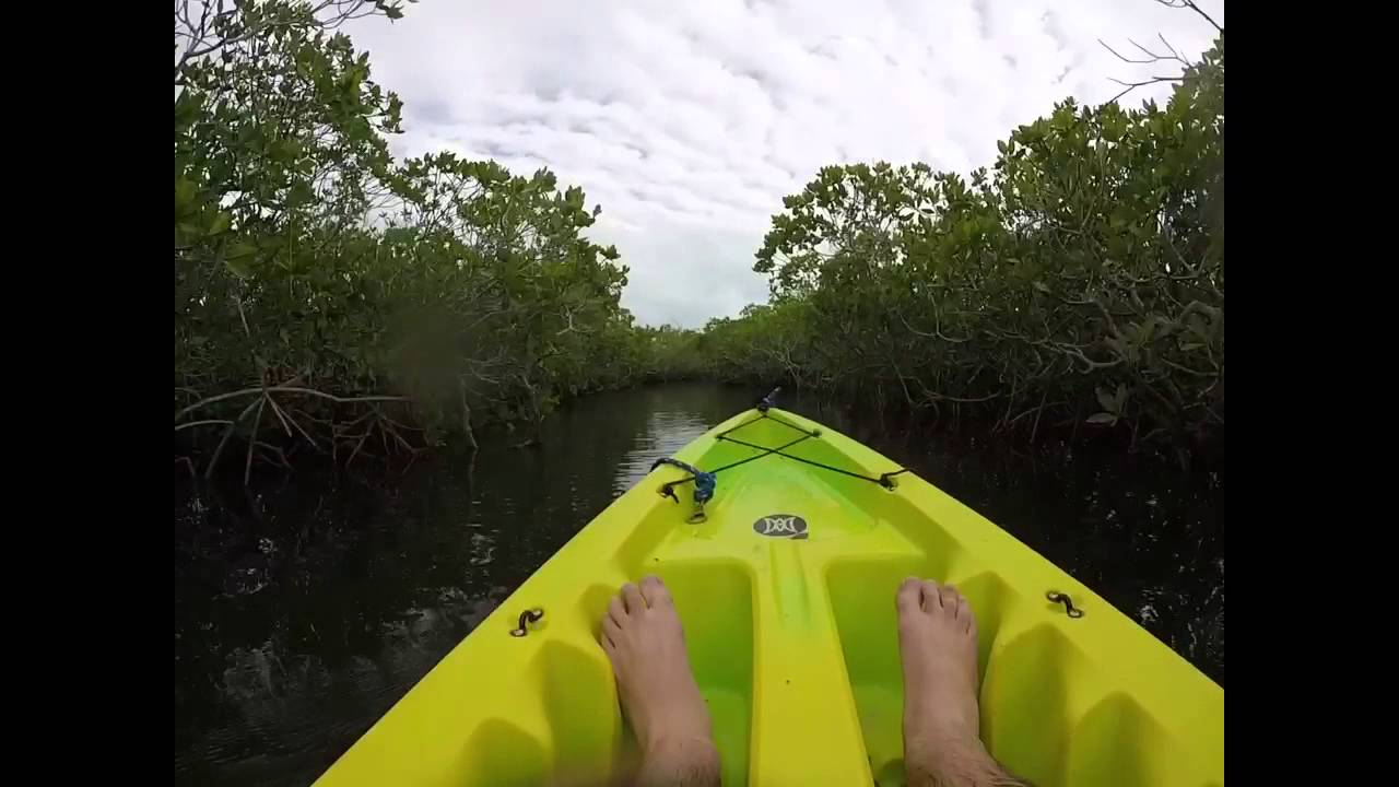 Kyacking in the Everglades