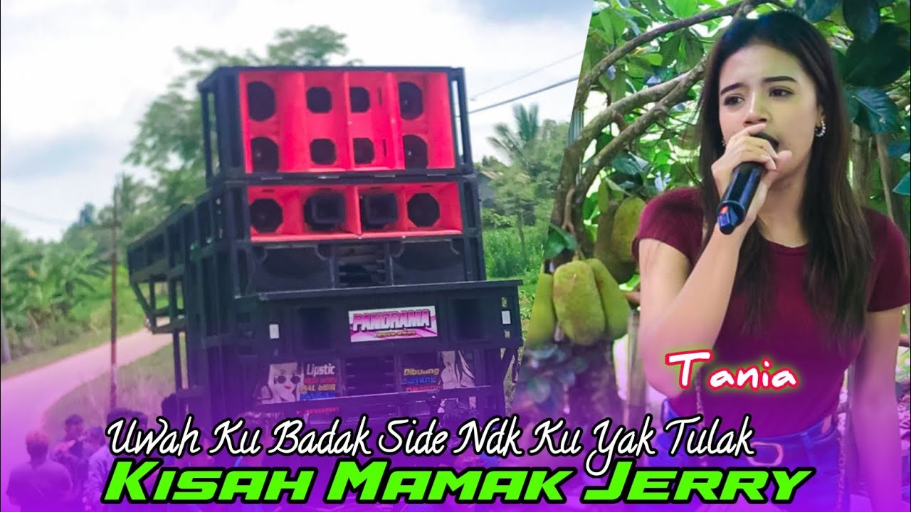LAGU SASAK TERBARU || KISAH MAMAK JERI || TANIA FEAT PANORAMA STYLE LIVE MONTONG AJAN 