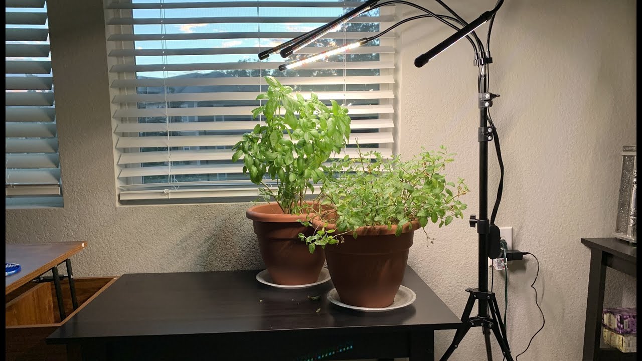 Grow Light for Indoor Plants Unboxing and Setup