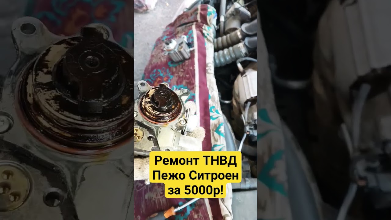 Троит? Трясет? Не едет? Пежо Ситроен: починим! #shorts #пежо #ситроен #тнвд #ремонтавто