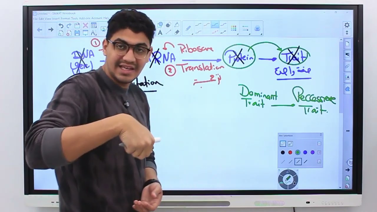Senior 3 - DNA - Mutations الطفرات 
