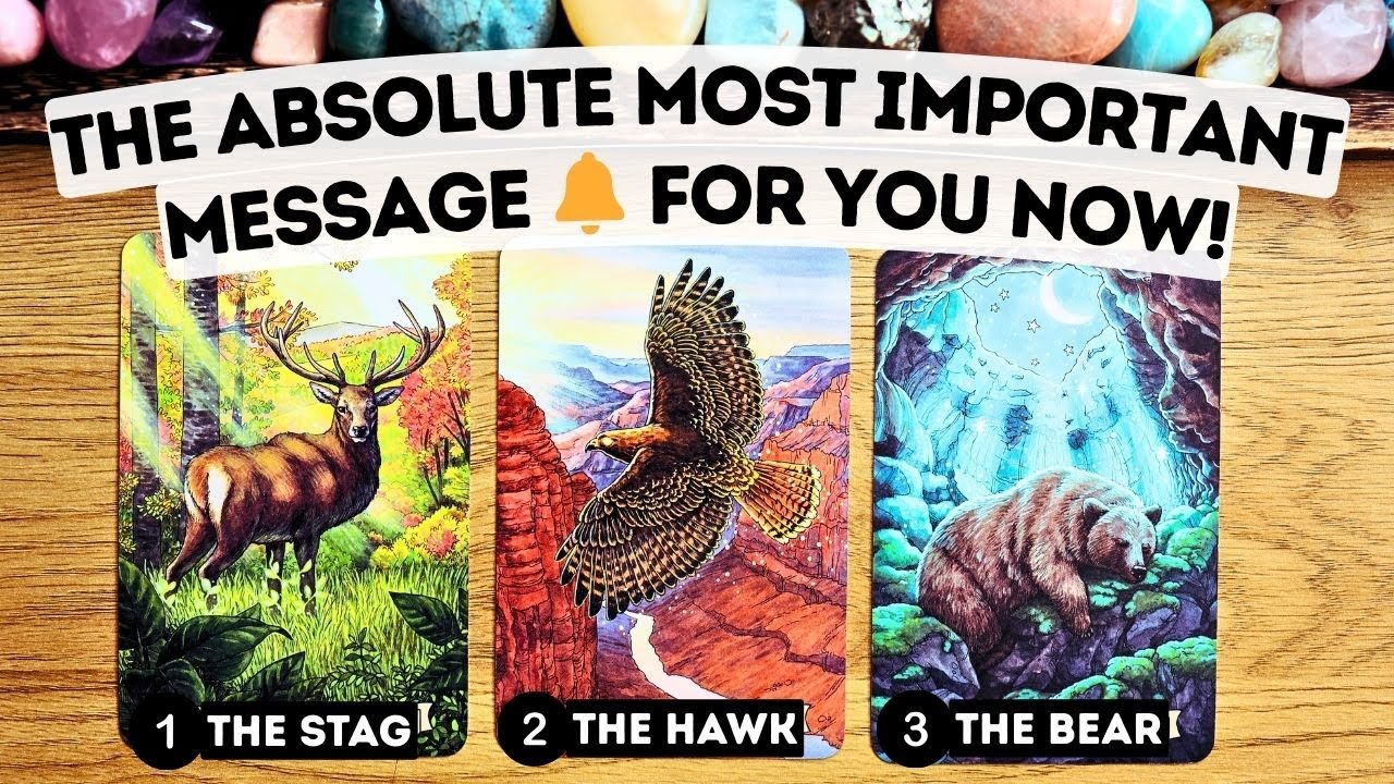 The Absolute Most Important Message For You Now?⏐PICK A CARD tarot reading