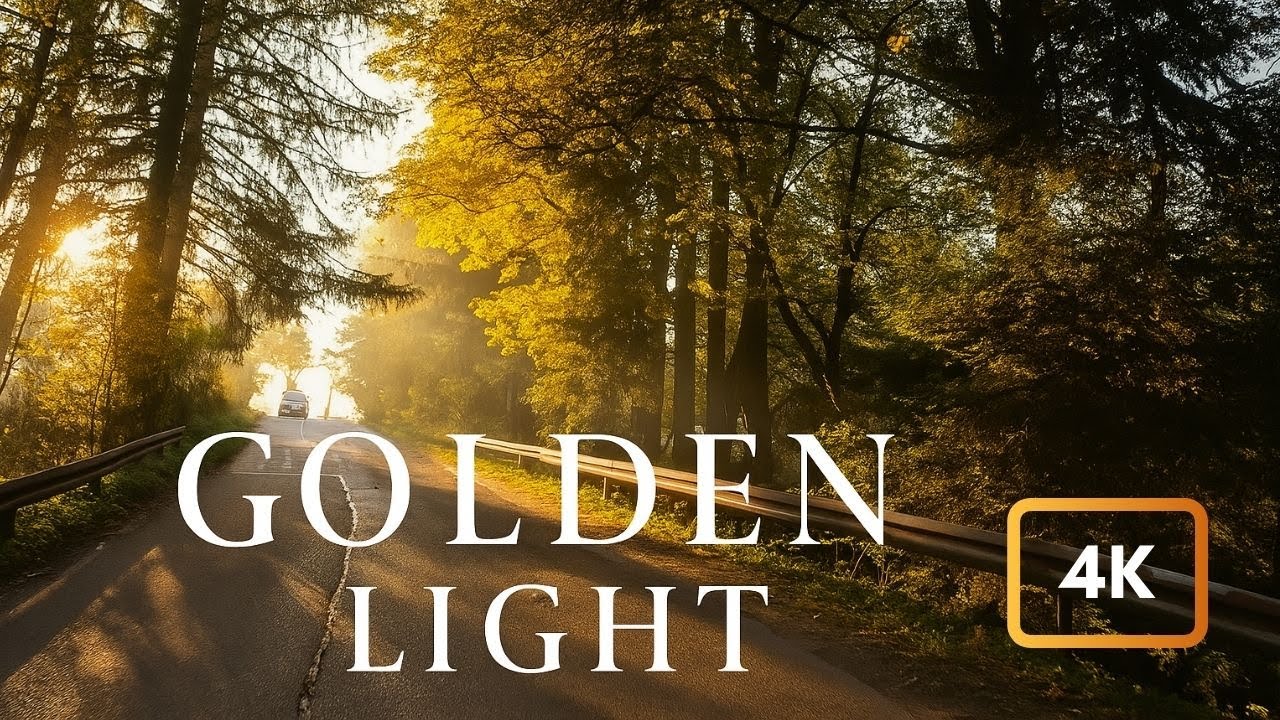 Утренняя Поездка в Золотом Свете 🌄 | Туманные Дороги & Спокойный ASMR • 4K