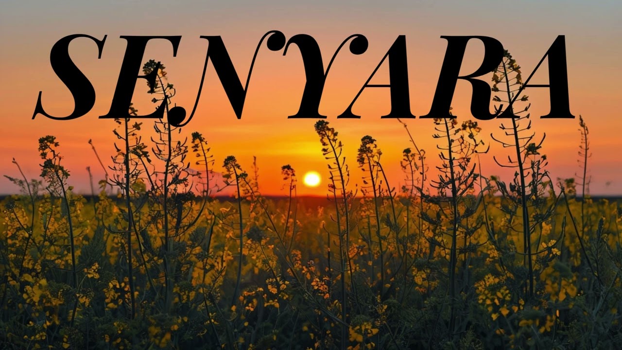 SENYARA | Romantic Lofi Love Song | Heart Touching Urdu/Hindi Lyrics