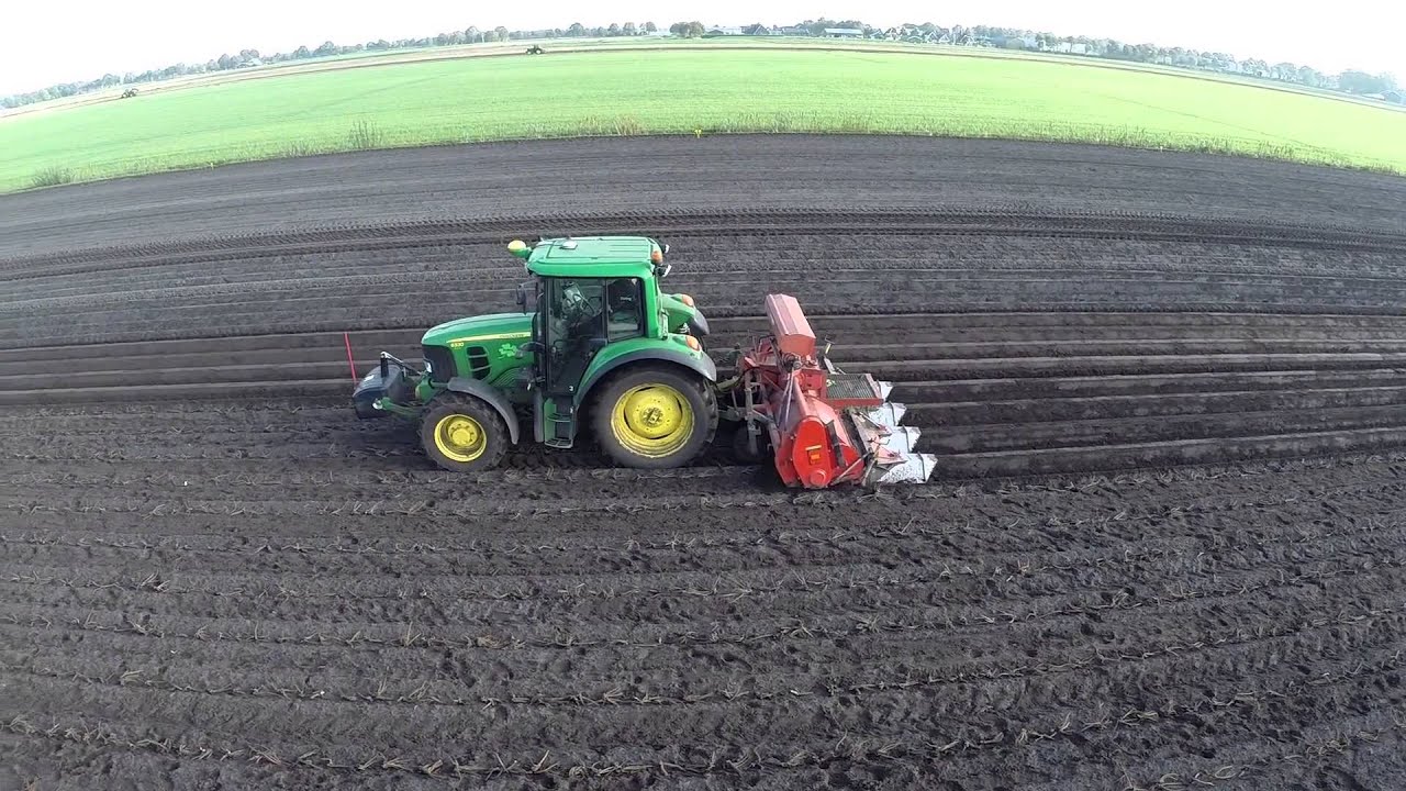 Pioenen delen en planten