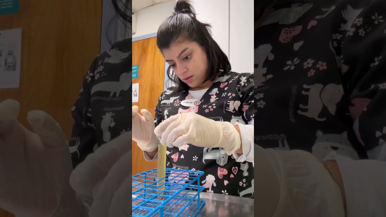 Fecal Centrifuge Technique- Veterinary Medicine