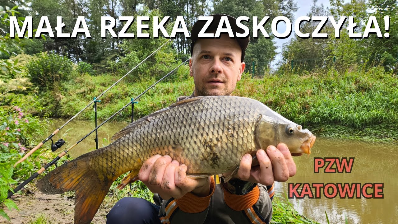 MAŁA ŚLĄSKA RZEKA Z KARPIAMI
