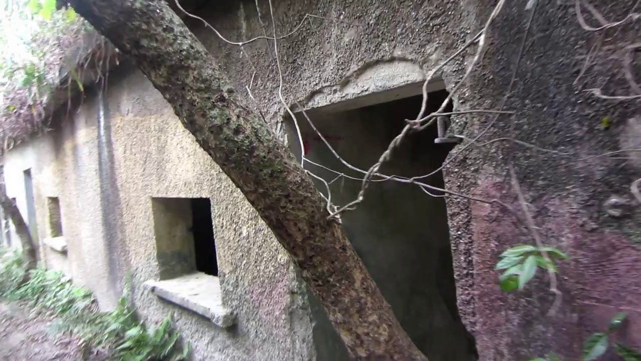 Exploring Mt. Davis (series 2)--- 