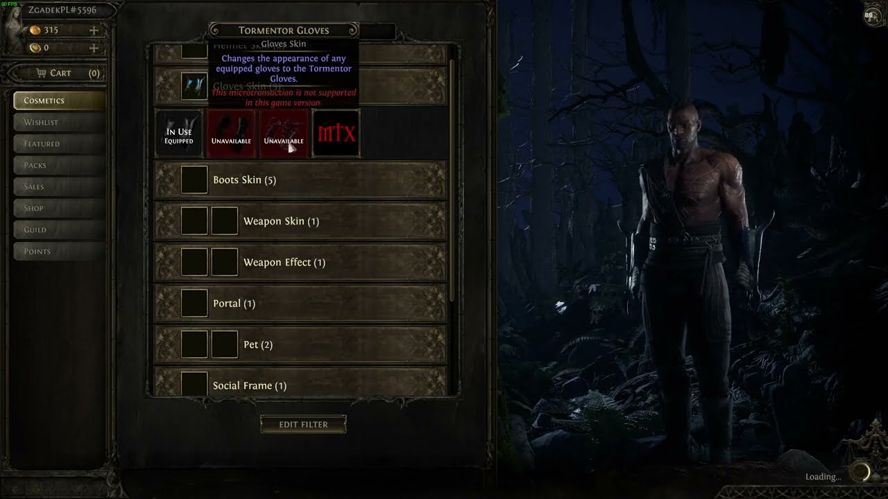 POE 2: How to Apply Cosmetics?