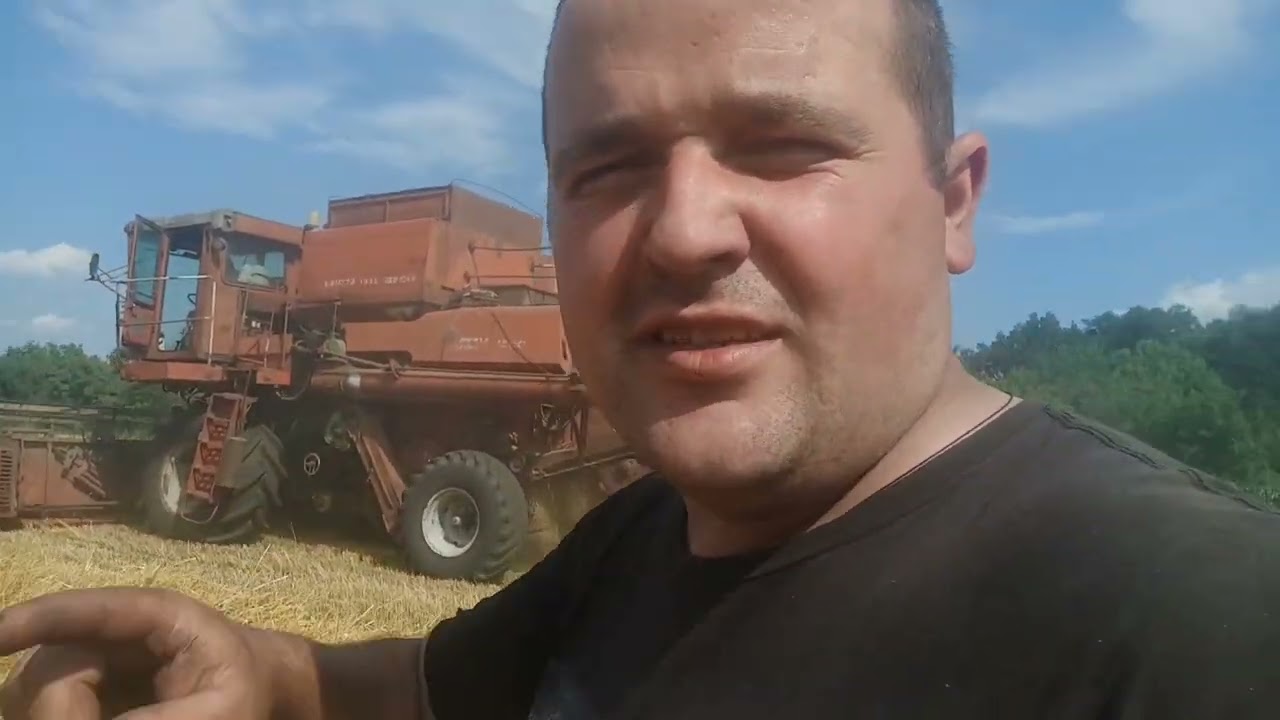Сипе як з відра ‼️ Урожайність пшениці ‼️ Дон 1500 ‼️ ЮМЗ 6 ‼️