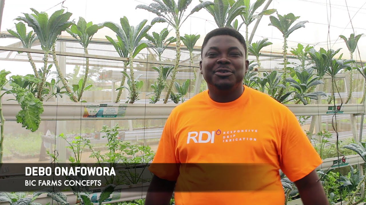 BIC Farms Concepts and Responsive Drip Irrigation (RDI) in Nigeria - with Debo Onofowora