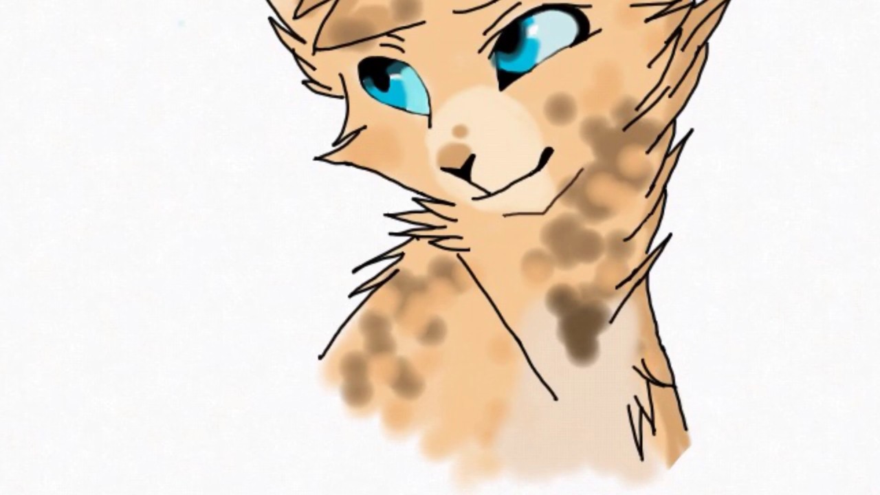 R&eacute;sultats du concours de dessins