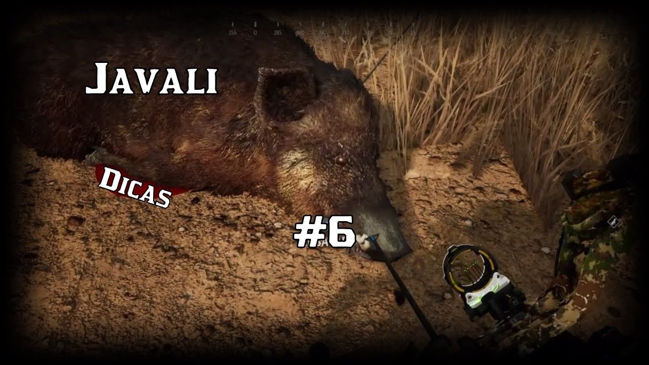 Como caçar o Javali - Hunting Simulator 2 - PS4 - #6