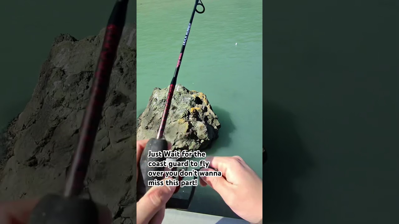 One of my favorite clips while out fishing at the pier!❤️