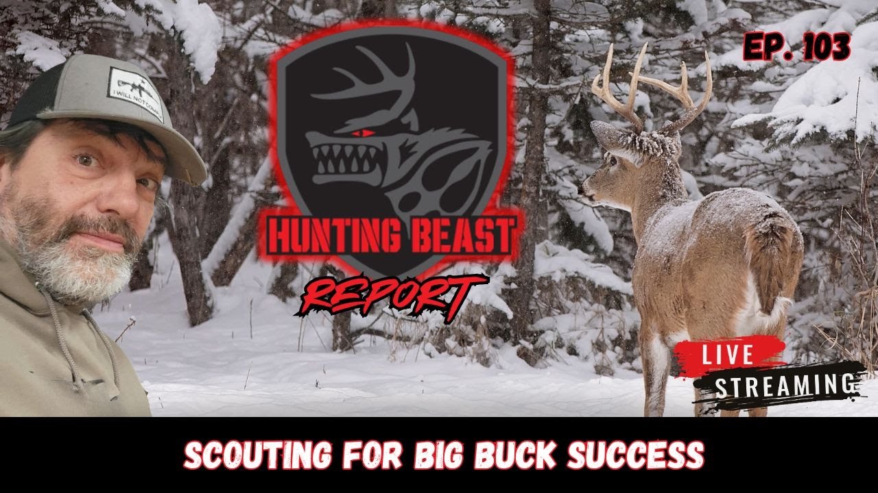 Scouting for Big Buck Success