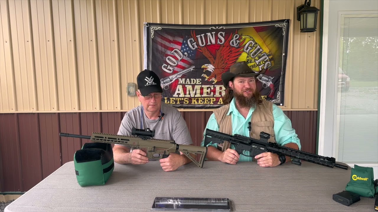 Ar10 vs lr308