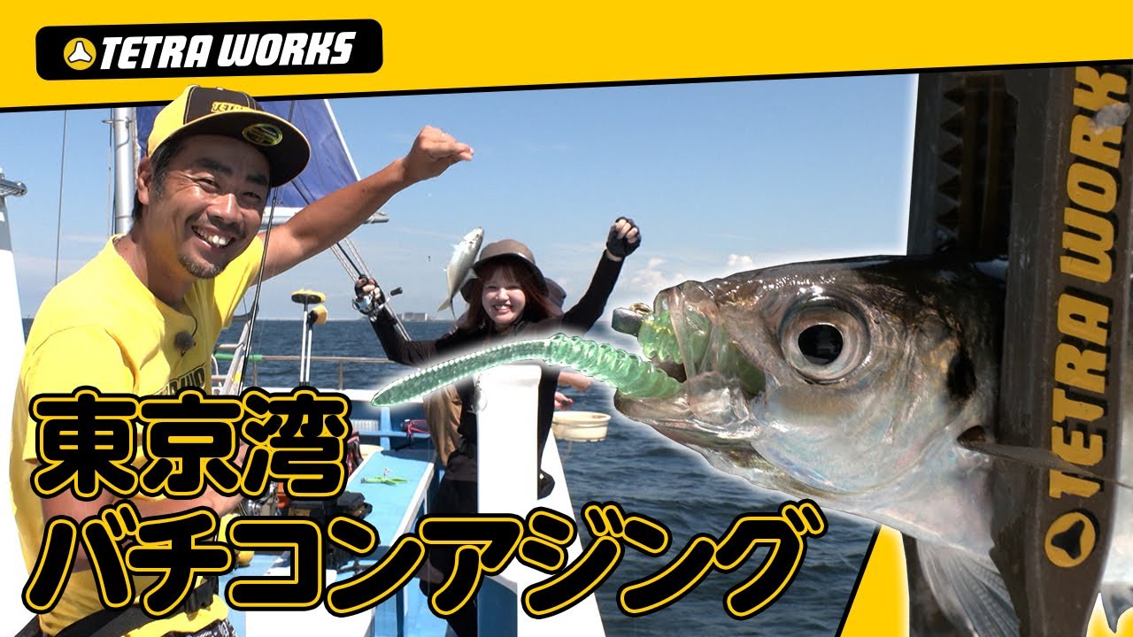 【バチコンアジング】数・サイズが狙えるバチコンアジング！in東京湾