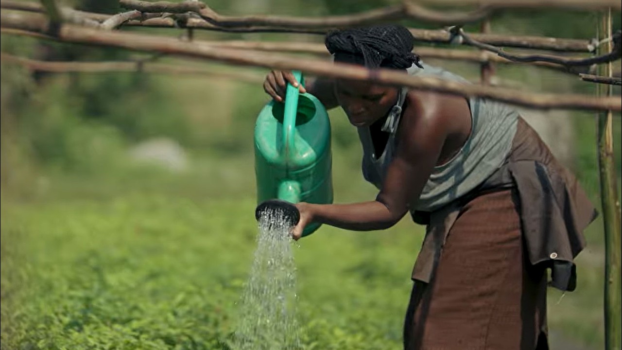 Bringing to market biodiversity credits from Uganda and Zambia