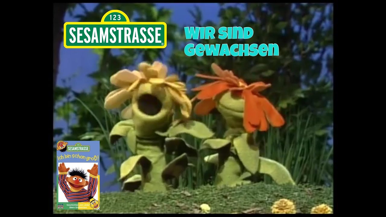 Sesamstrasse Wir sind gewachsen