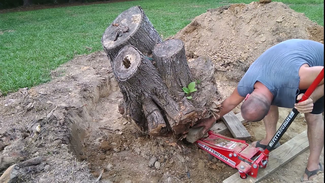 3 ton jack lift stump out ?