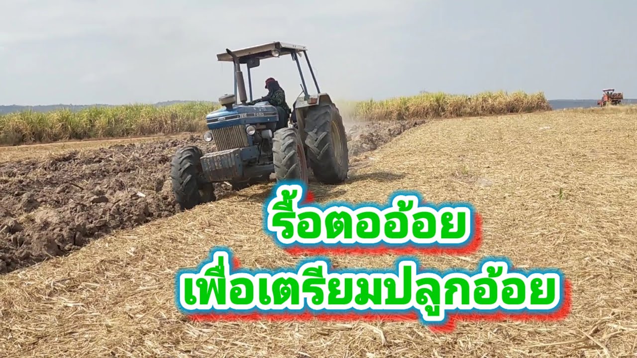 รื้อตออ้อย EP 46/69