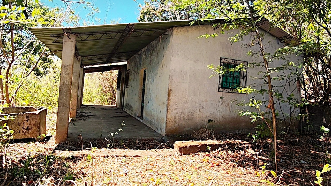 Casa Abandonada 🏚️ Mangos!!!