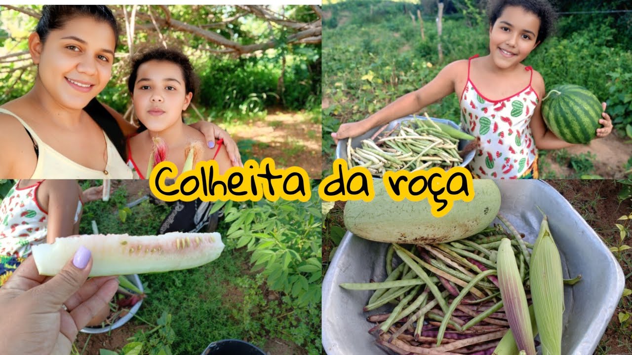 Farturas da roça + colheita de feijão e melancia!🍉🫘