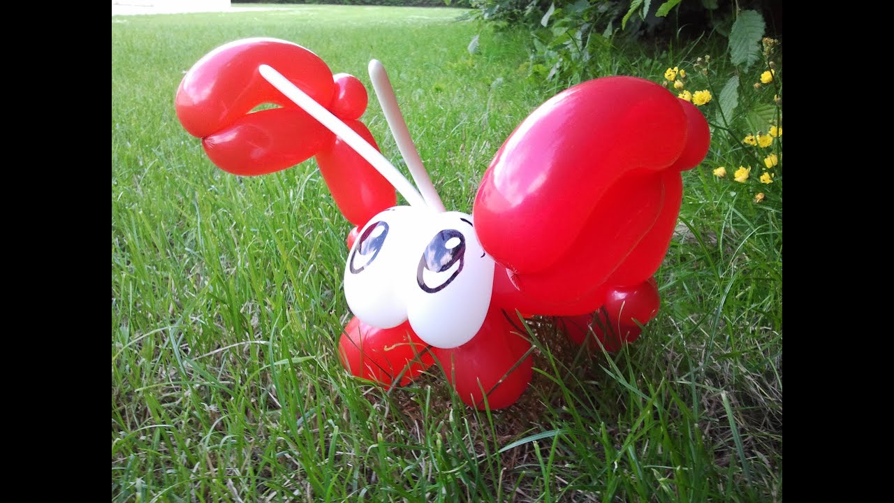 Ballon Krebs Krabbe, balloon crab shrimp, Modellierballon Ballonfiguren